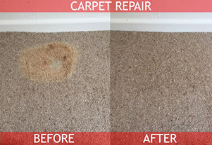Carpet Cleaning Launceston | Carpet Cleaning Hobart | Dry Carpet Cleaning